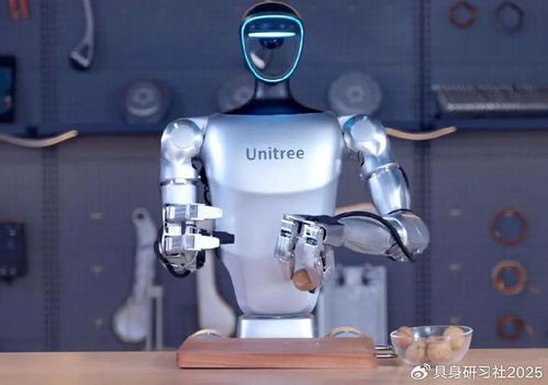 人形機(jī)器人廠商迎來精打細(xì)算時(shí)代 在科技變革中求生存與發(fā)展